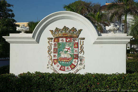 DSC05305