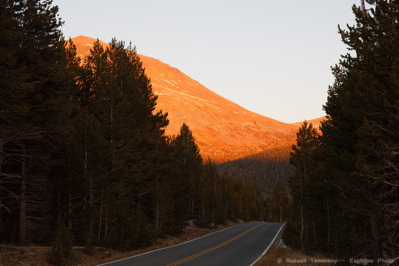 Yosemite NP