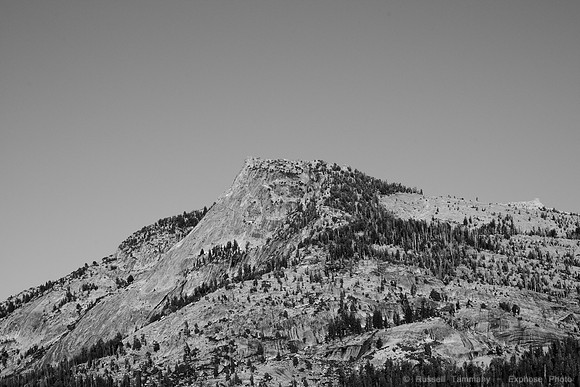 Yosemite NP