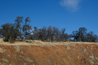 California Hwy 12