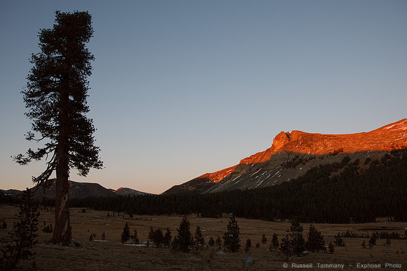 Yosemite NP