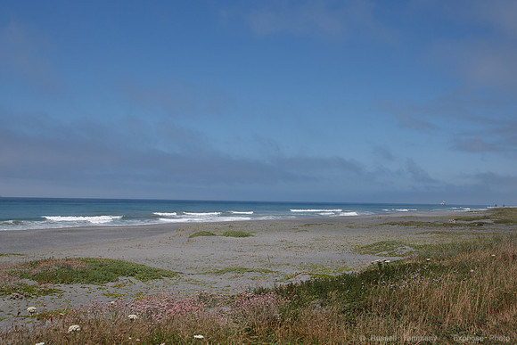 US-101
