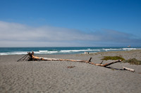 Redwood National Park