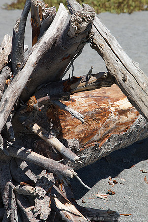 Redwood National Park