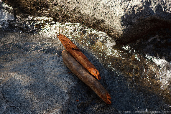 Yosemite NP