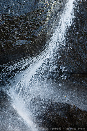 Yosemite NP