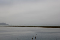 US-101