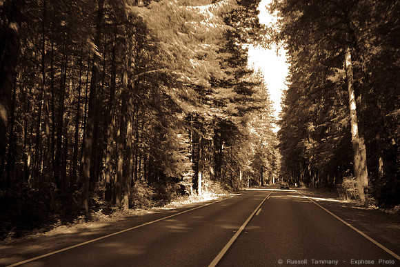 US-101
