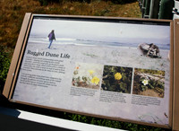 Redwood National Park