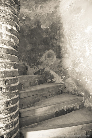 DSC05600