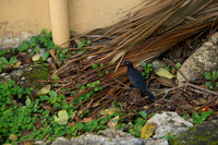 DSC05228