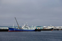 Reykjavik