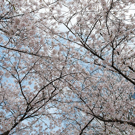 1DX_5767