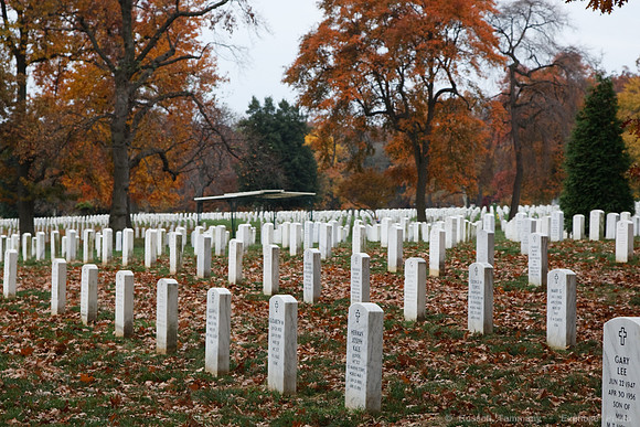 Arlington National Cemetary