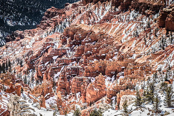 Cedar Breaks NM, UT