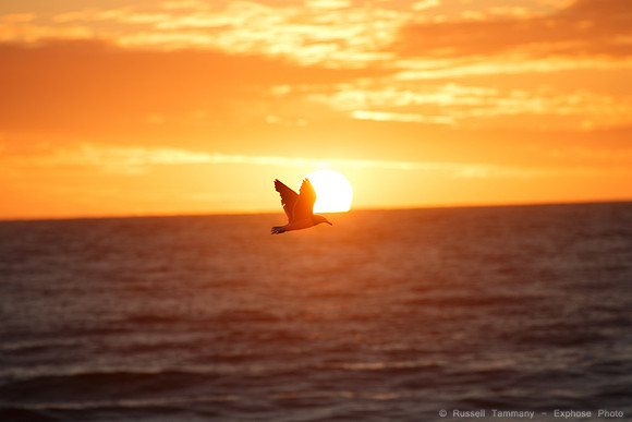 Blönduós Sunset
