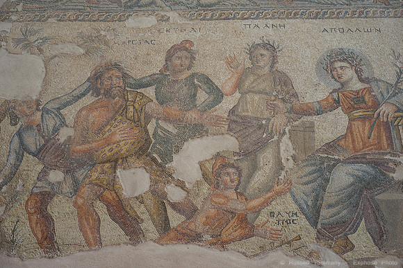 DSC05574