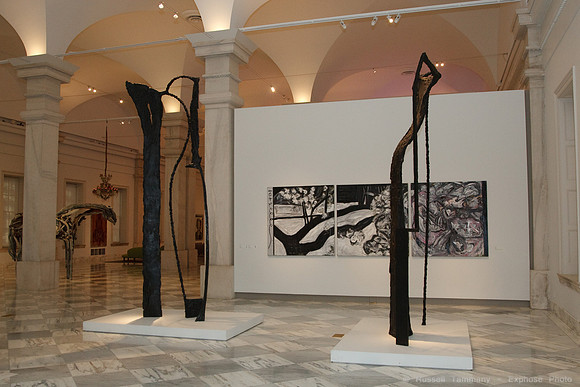 American Art Museum