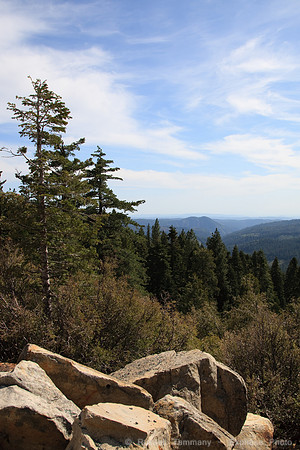 CA SR 88 towards Kirkwood