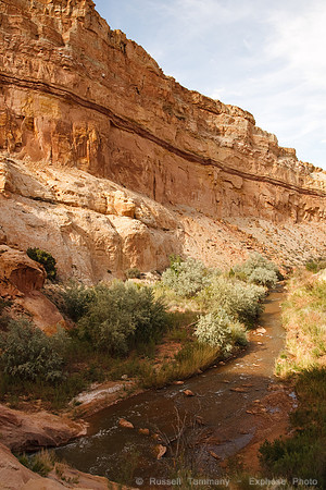 Capitol Reef NP