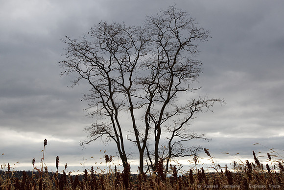 Antietam National Battlefield