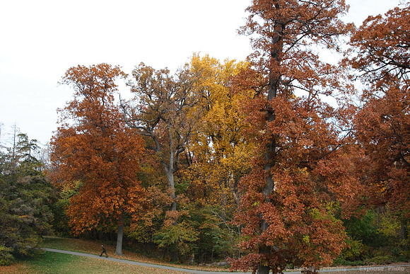 Arlington National Cemetary