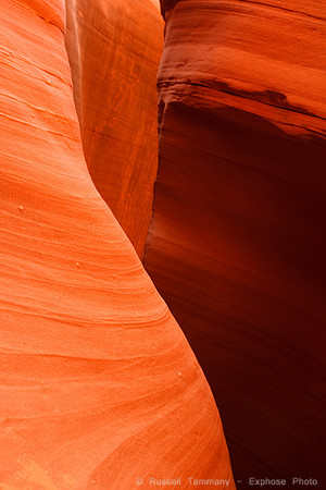 Rattlesnake Canyon