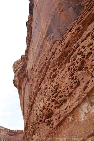 Capitol Reef NP
