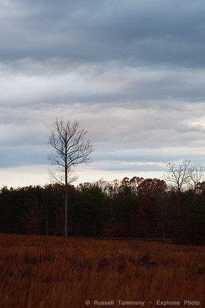Spotsylvania, VA