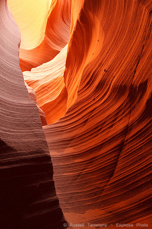 Rattlesnake Canyon