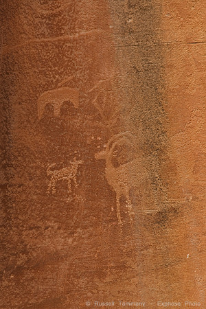 Capitol Reef NP