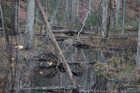 Spotsylvania, VA