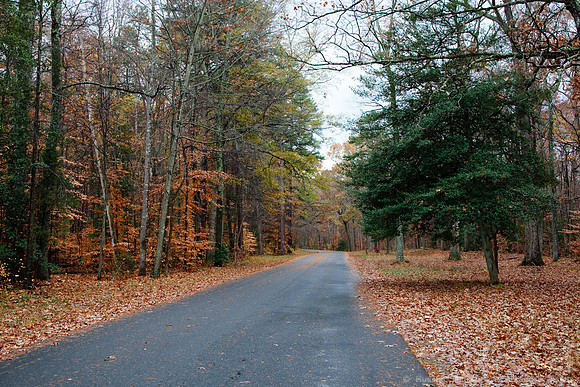 Fredericksburg, VA
