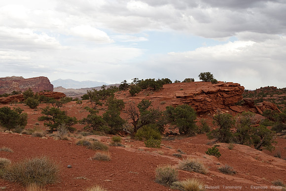 Capitol Reef NP