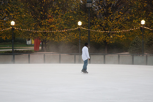 Ice Rink in Sculpture Garden