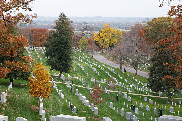 Arlington National Cemetary