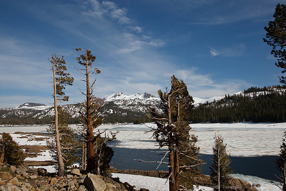 CA SR 88 towards Kirkwood
