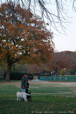 Washington D.C.