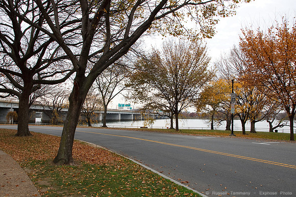 Washington D.C.