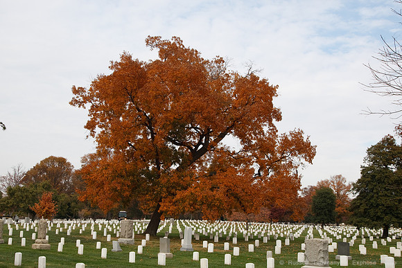 Arlington National Cemetary