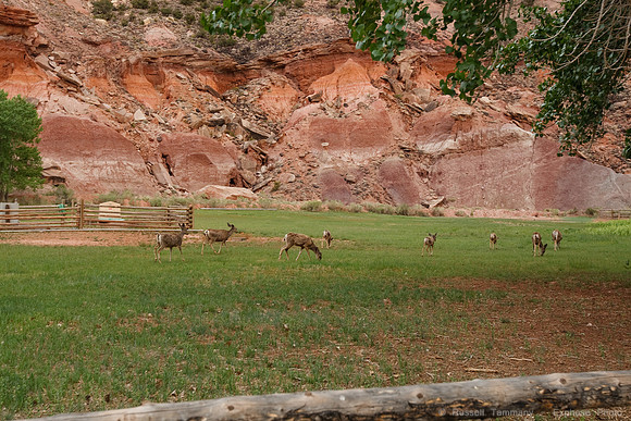 Capitol Reef NP