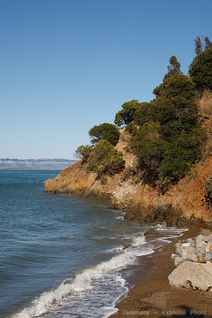 1D3_9731