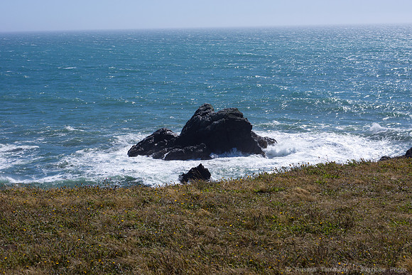 DSC00065