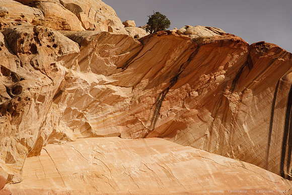 Capitol Reef NP
