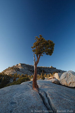 Yosemite NP