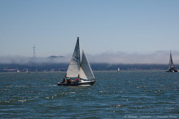1D3_9551