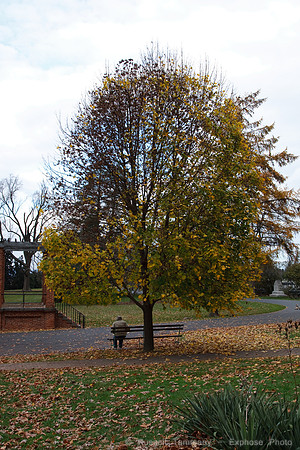 Soldiers' National Cemetery at Gettysburg