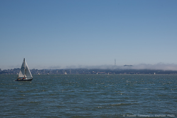 1D3_9546
