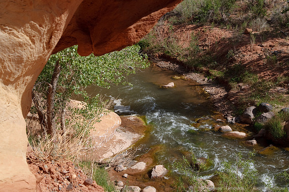 Capitol Reef NP