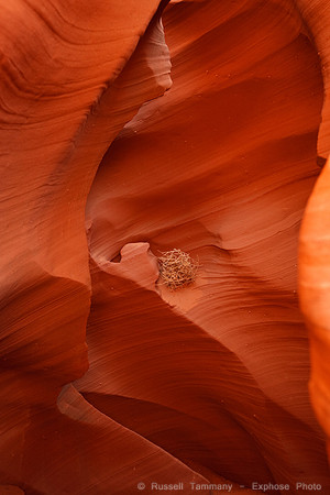 Rattlesnake Canyon